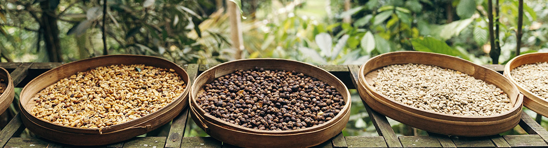 Indonesia