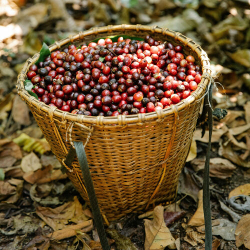 Colombia Single Estate Blend Arabica