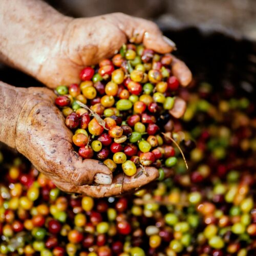 Colombia Montegrato Arabica