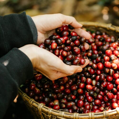 Colombia Ambar Arabica