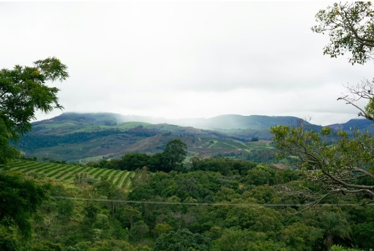Coffee farm landscape used to represent Lhute sourcing origins