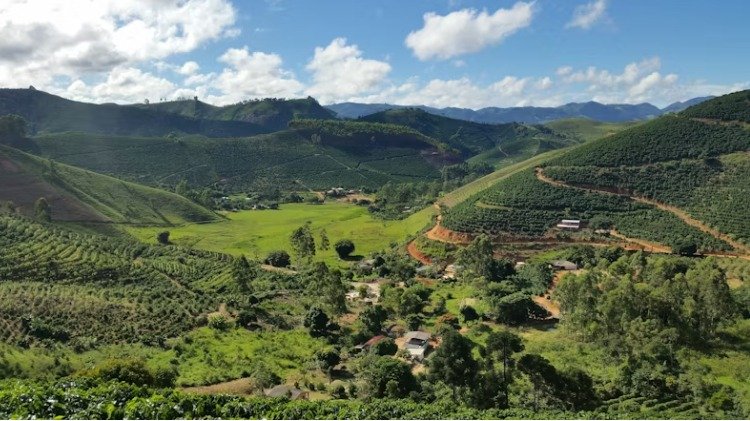 Coffee sourcing origins visual for the Lhute origins page